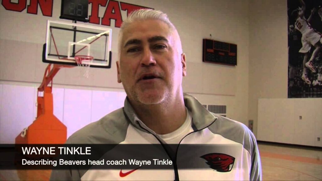 oregon state basketball beavers describe wayne tinkle