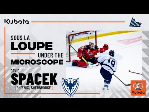 2022 nhl draft under the microscope david spacek