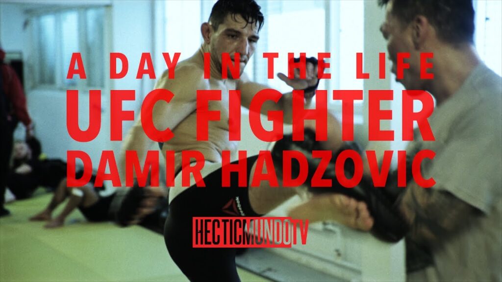 a day in the life ufc fighter damir hadzovic 4k english subtitles