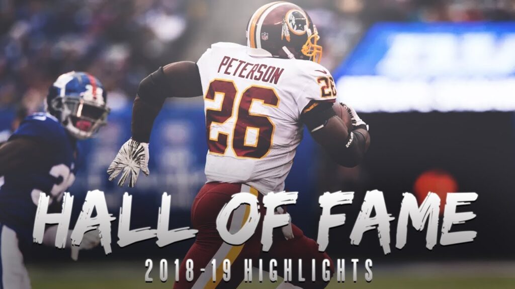 adrian peterson 2018 19 highlights hall of fame