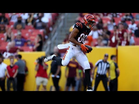 andrei iosivas 2023 bengals highlights