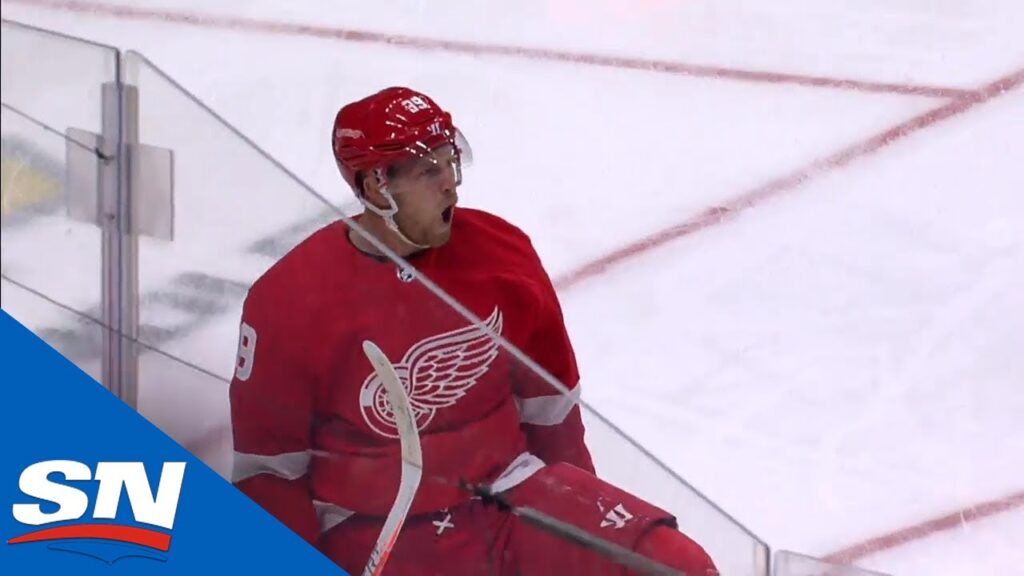 anthony mantha shows off great hands with beautiful goal against stars