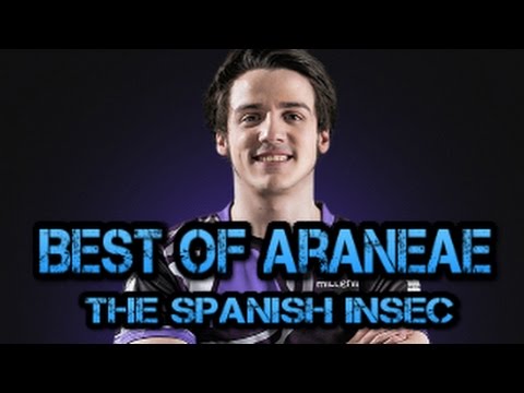 best of araneae araneae montage