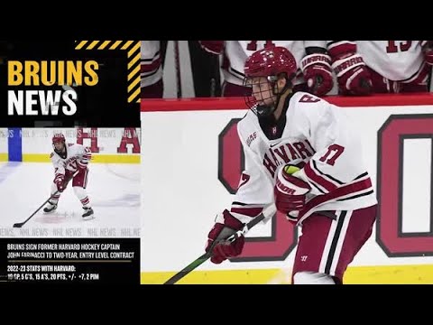 bruins sign former harvard hockey captain to entry level contract