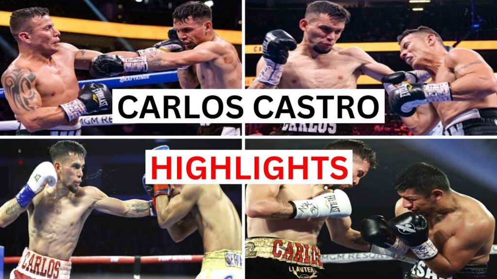 carlos castro 14 kos highlights knockouts