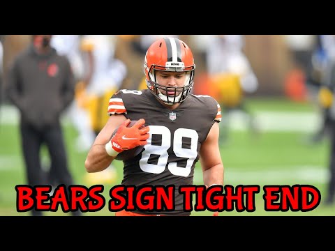 chicago bears sign former princeton wr turned te stephen carlson