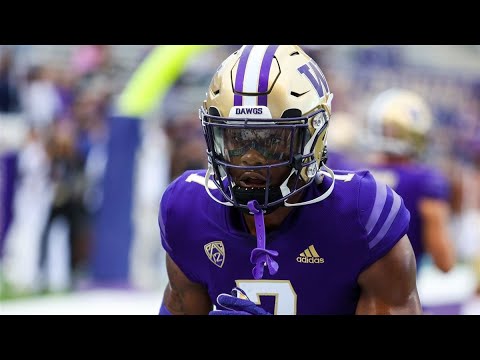 dominique hampton safety washington 2023 highlights 2024 nfl draft