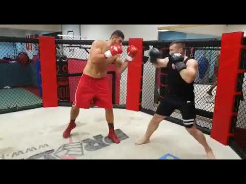 filip hrgovic sparring k1 legend mirko cro cop