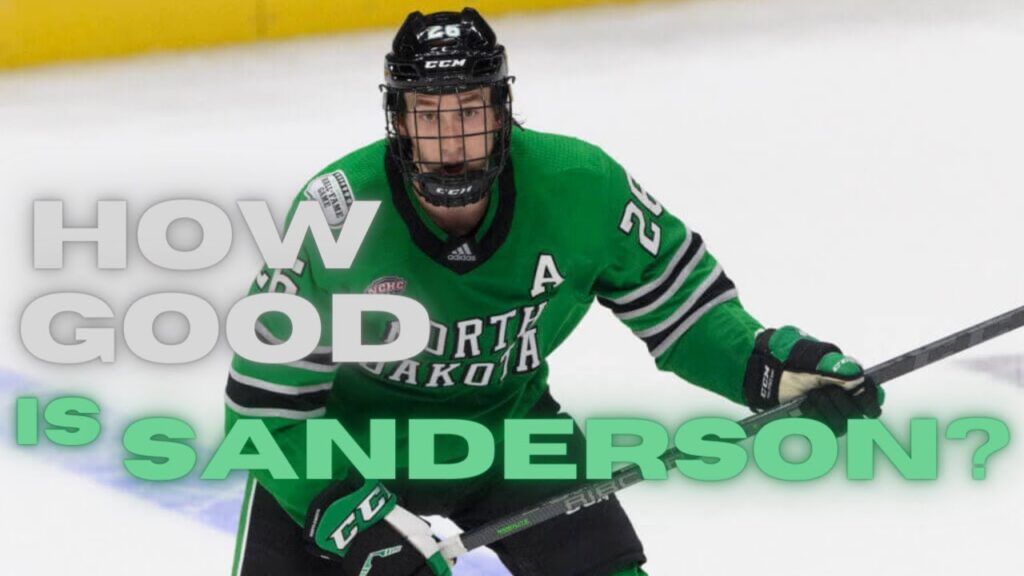 how good is jake sanderson ottawa senators prospect