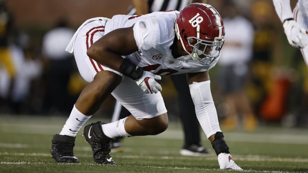 labryan ray alabama crimson tide defensive line career highlights