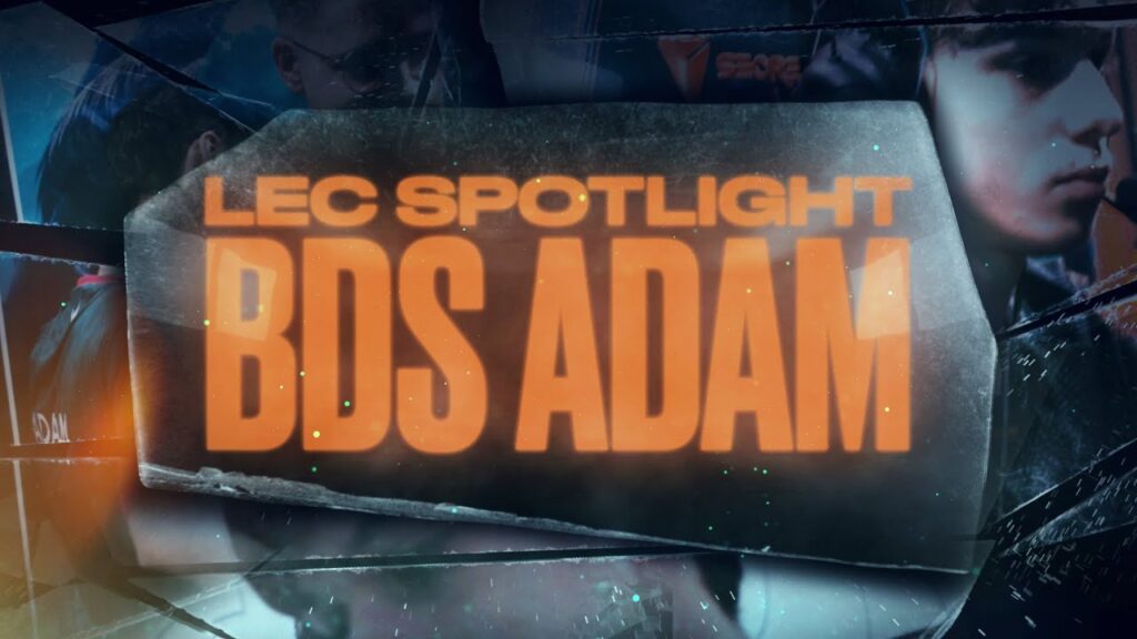 lec spotlight bds adam