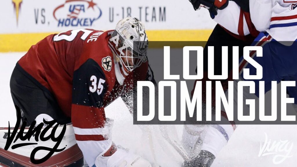 louis domingue highlights hd