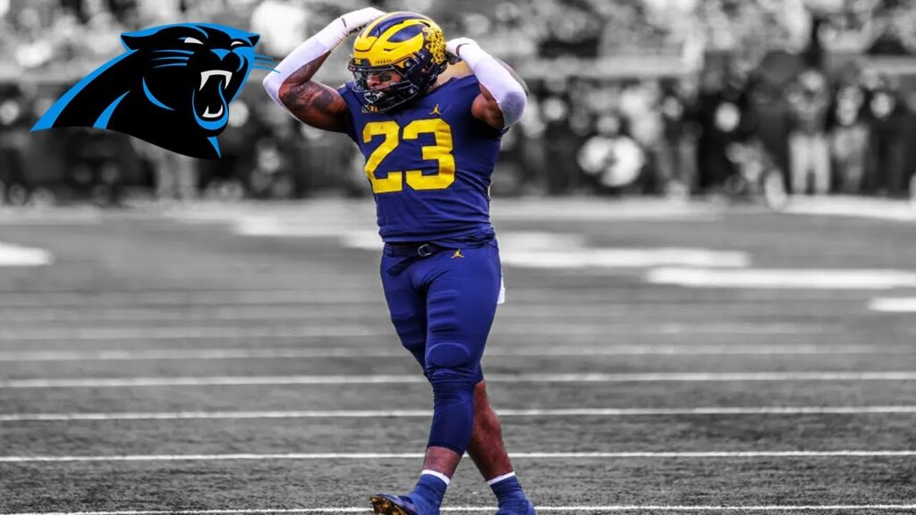 michael barrett highlights f09f94a5 welcome to the carolina panthers