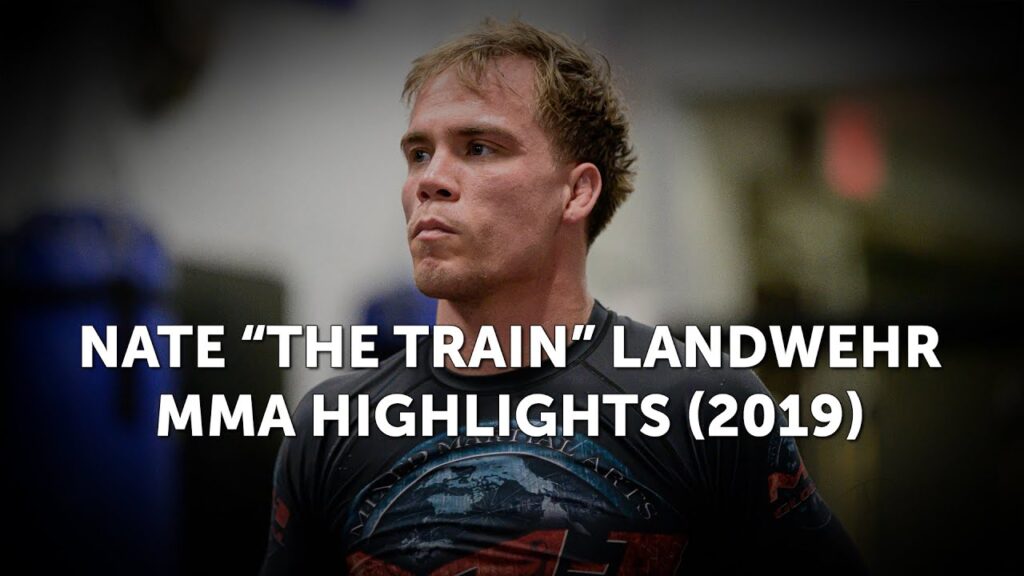 nate the train landwehr mma highlights 2019