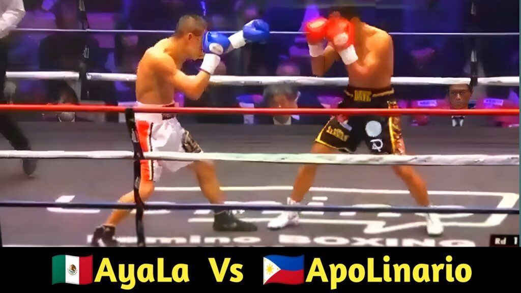 new world champion f09f87b2f09f87bdangel ayala vs f09f87b5f09f87addave apolinario fight