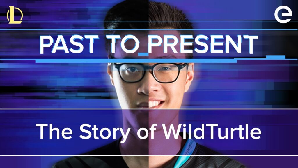 past to present the story of wildturtle