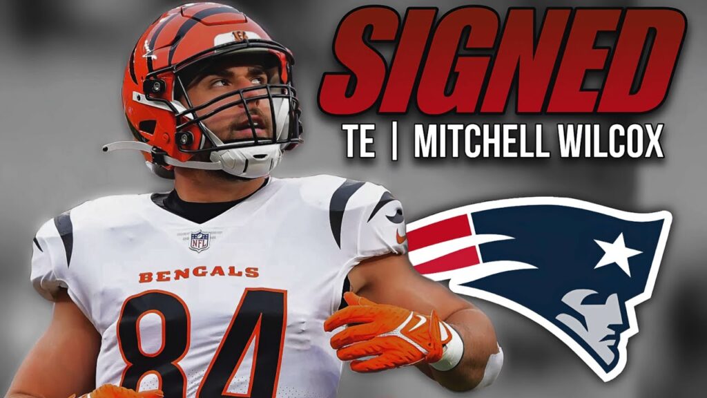 patriots sign te mitchell wilcox will they still draft a te