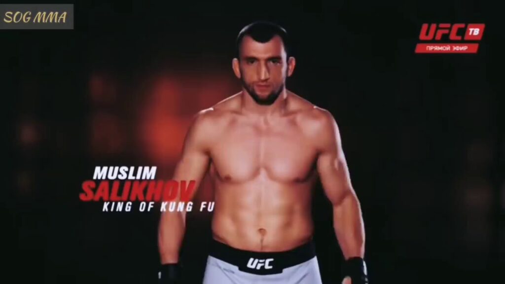 perfect ufc fighter muslim salikhov dagestani king of kung fu highlights hd