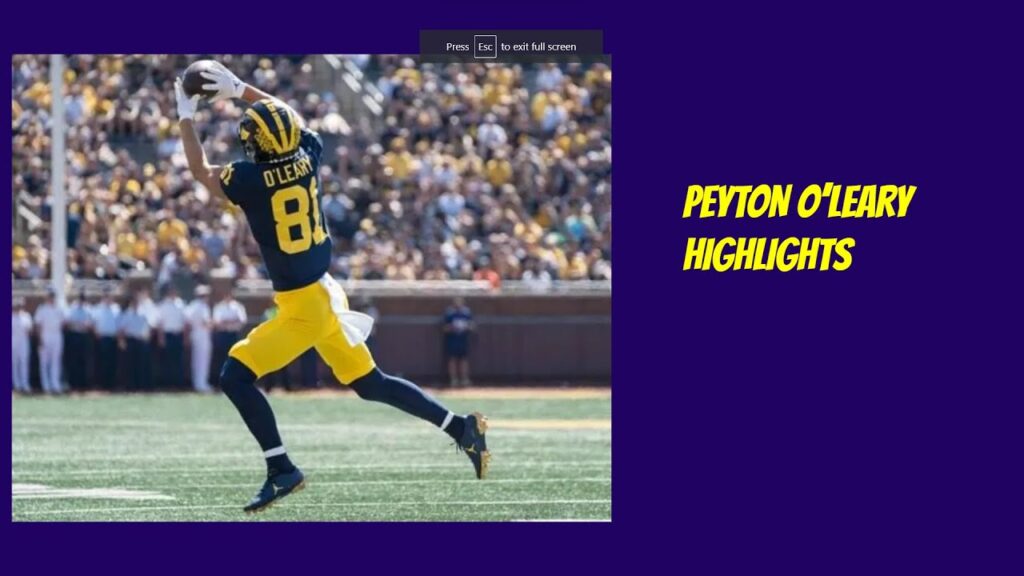 peyton oleary highlights michigan football