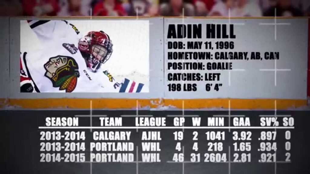 prospect profile adin hill