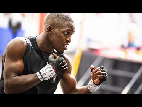 senegalese star boxer souleymane cissokho on the road to world title