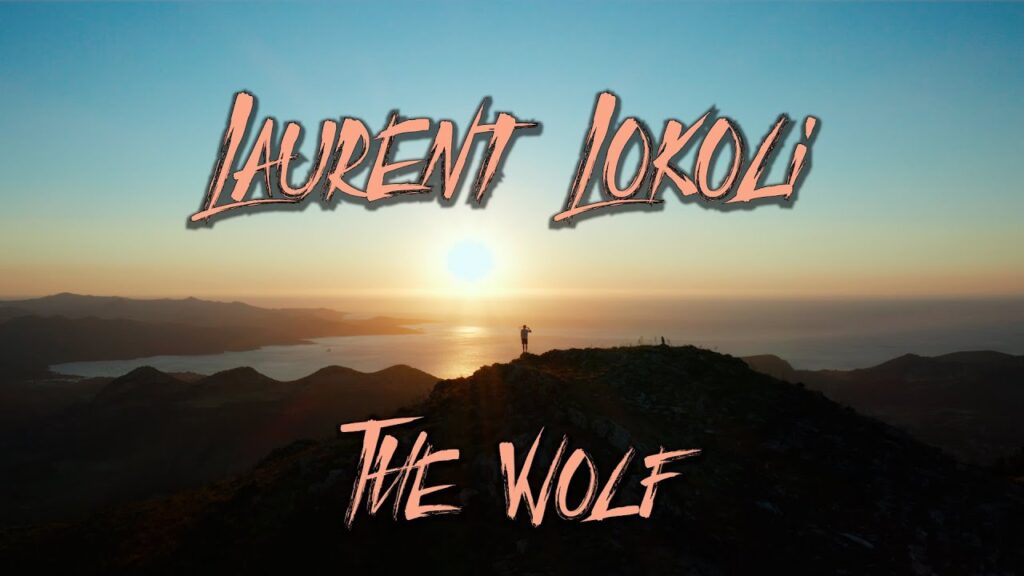 tennisman francais laurent lokoli the wolf 1