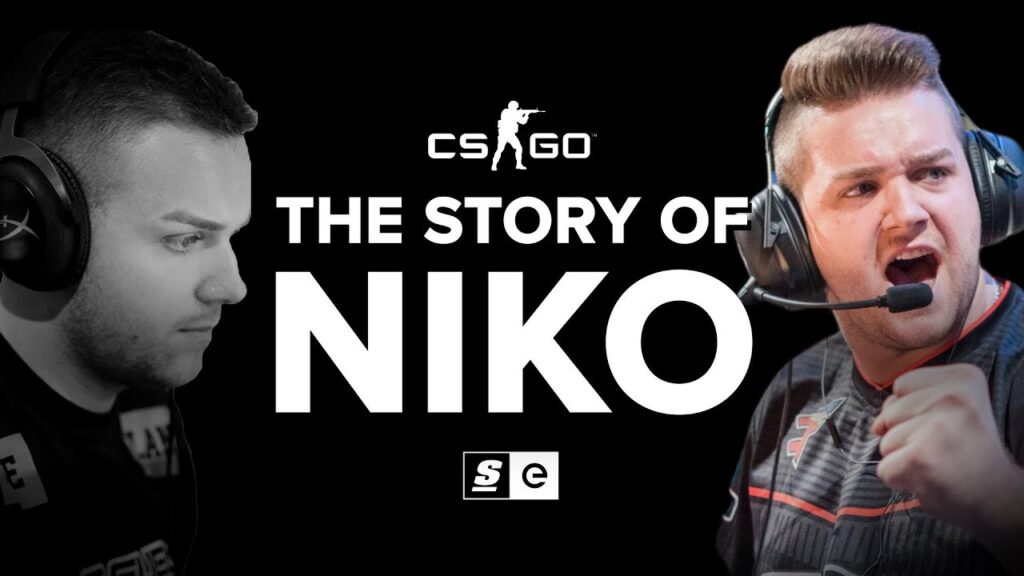 the story of niko