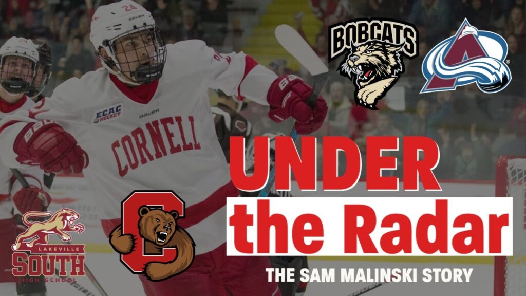 under the radar the sam malinski story