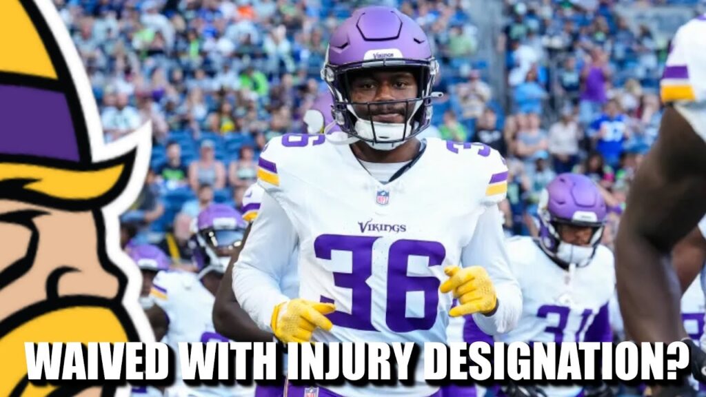 what minnesota vikings waive special teams star najee thompson with injury designation