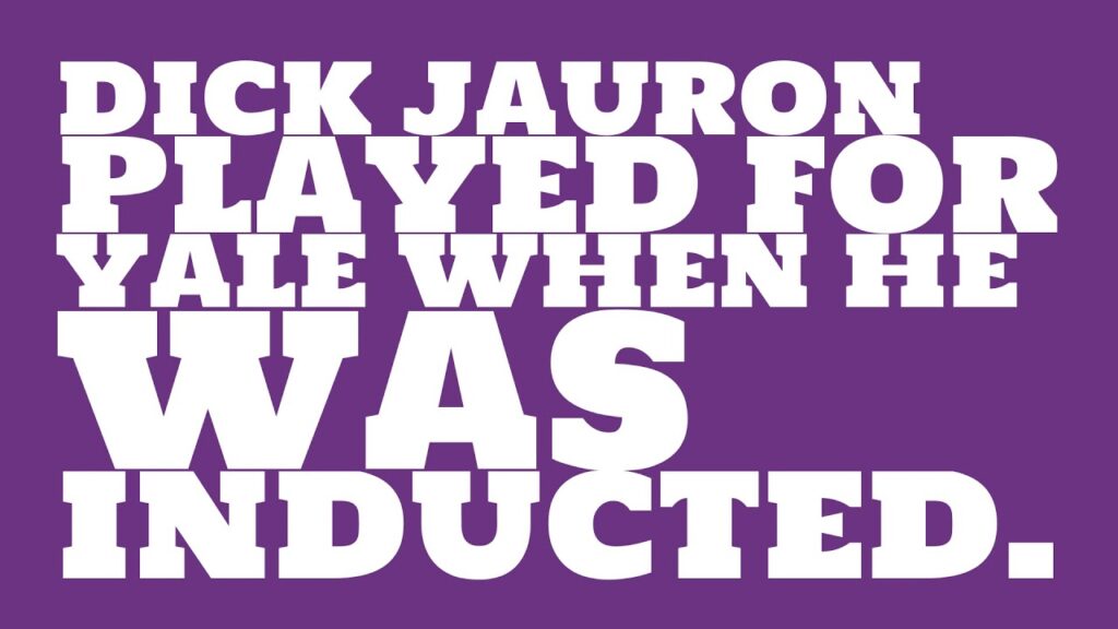 who did dick jauron play for