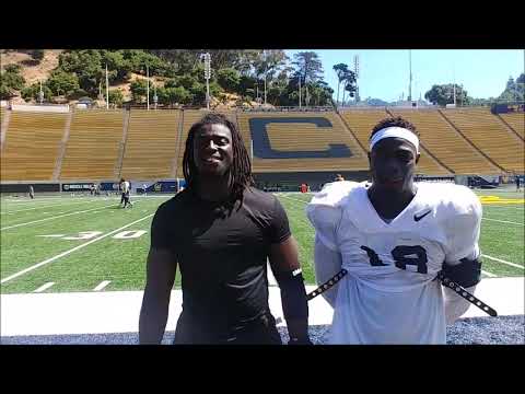 bear insider video cal olb edge cheikh fall serigne tounkara