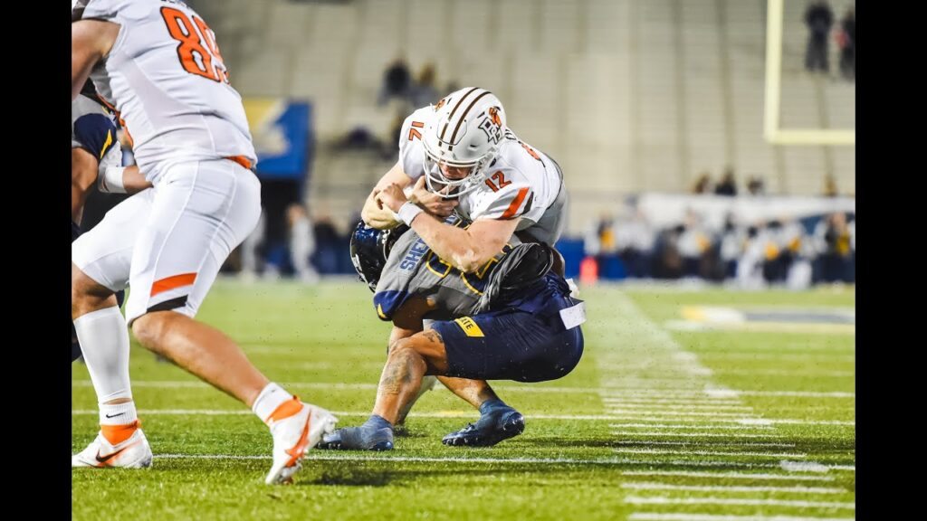 bryce sheppert kent state safety highlights