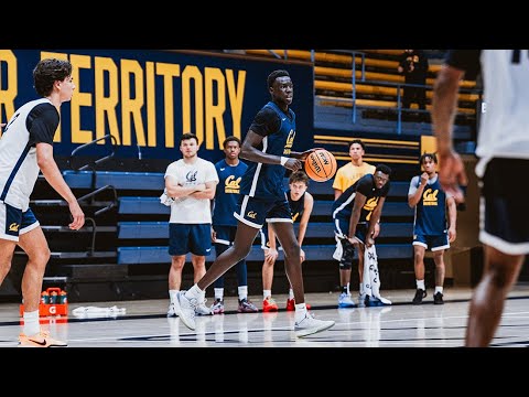 cal mens basketball meet the bears bj omot 1