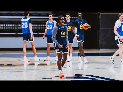 cal mens basketball meet the bears dj campbell