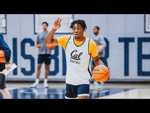 cal mens basketball meet the bears jeremiah wilkinson