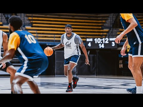 cal mens basketball meet the bears lee dort