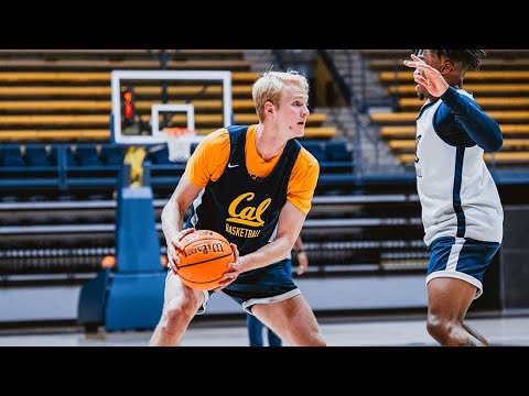 cal mens basketball meet the bears rytis petraitis