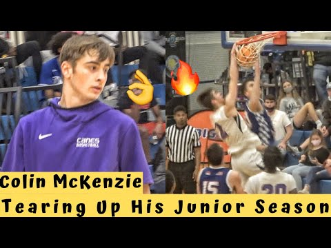 colin mckenzie dunks on 7 footer most underrated wing in south carolina