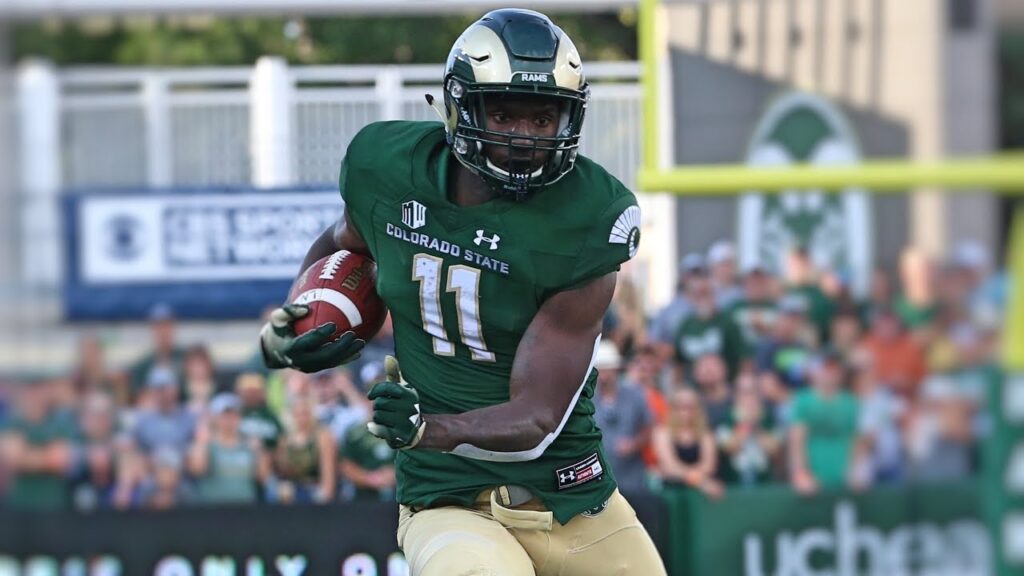 colorado state wr preston williams 2018 highlights