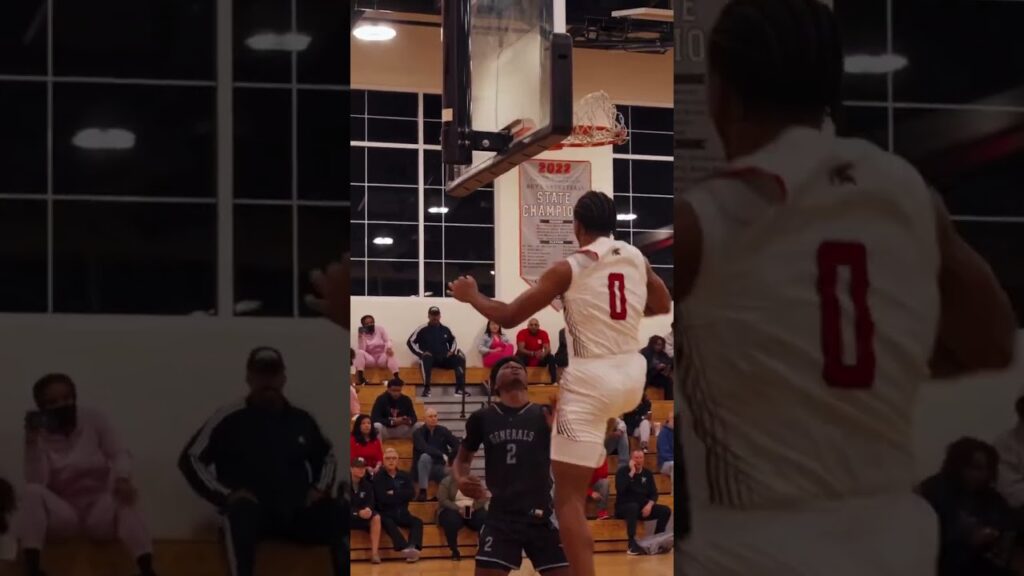 d1 commit ramone seals shorts