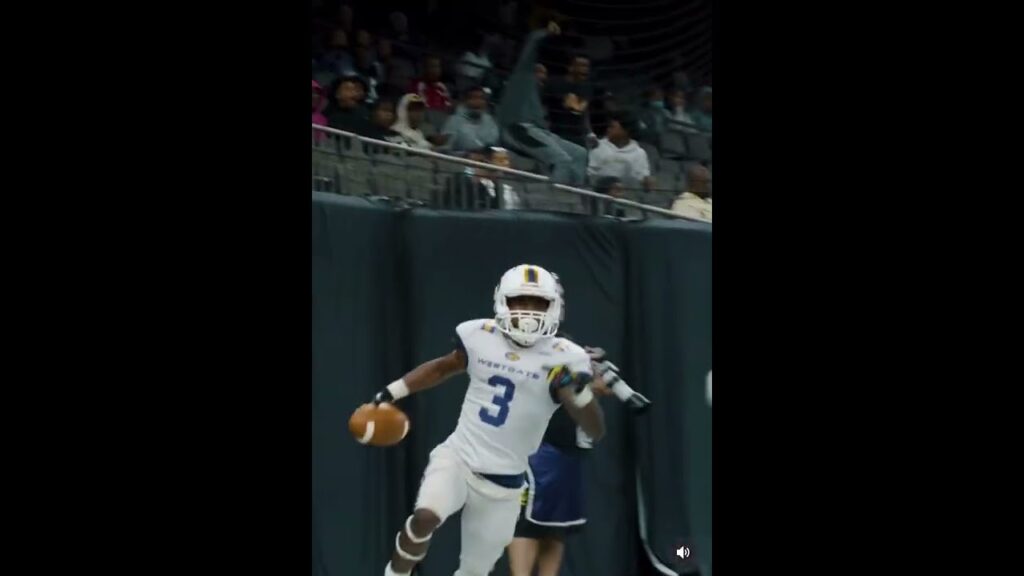 dedrick latulas 2023 game winning catch in state championship football catch