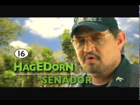 ed hagedorn for senator