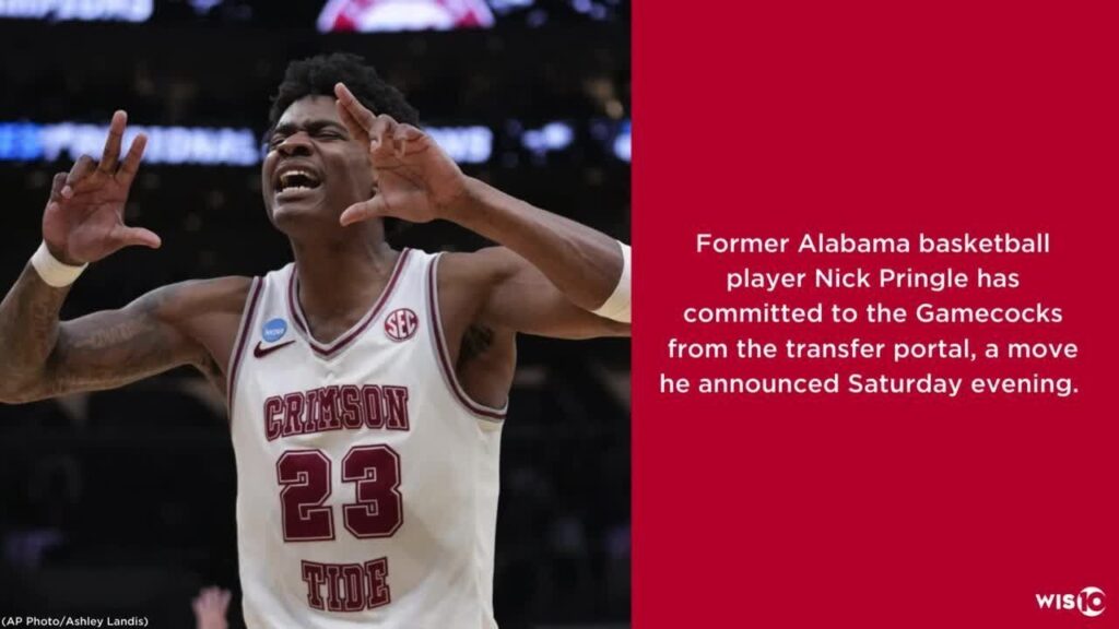 former alabama player nick pringle transfers to south carolina