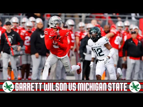 garrett wilson highlights vs michigan state