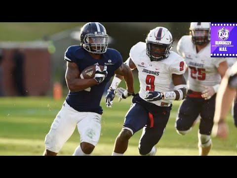 georgia southern beats south alabama 24 17