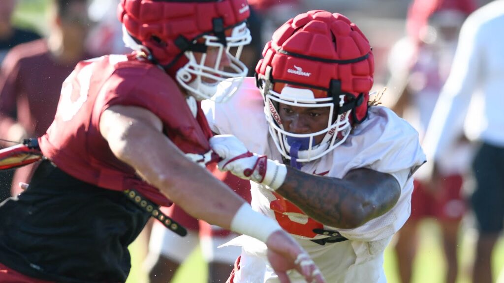 hogs tight end ty washington offensive lineman beaux limmer