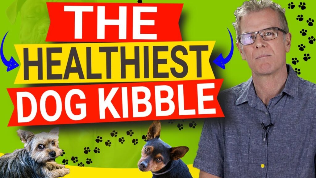 how to pick the healthiest kibble for dogs 5 things a kibble must have