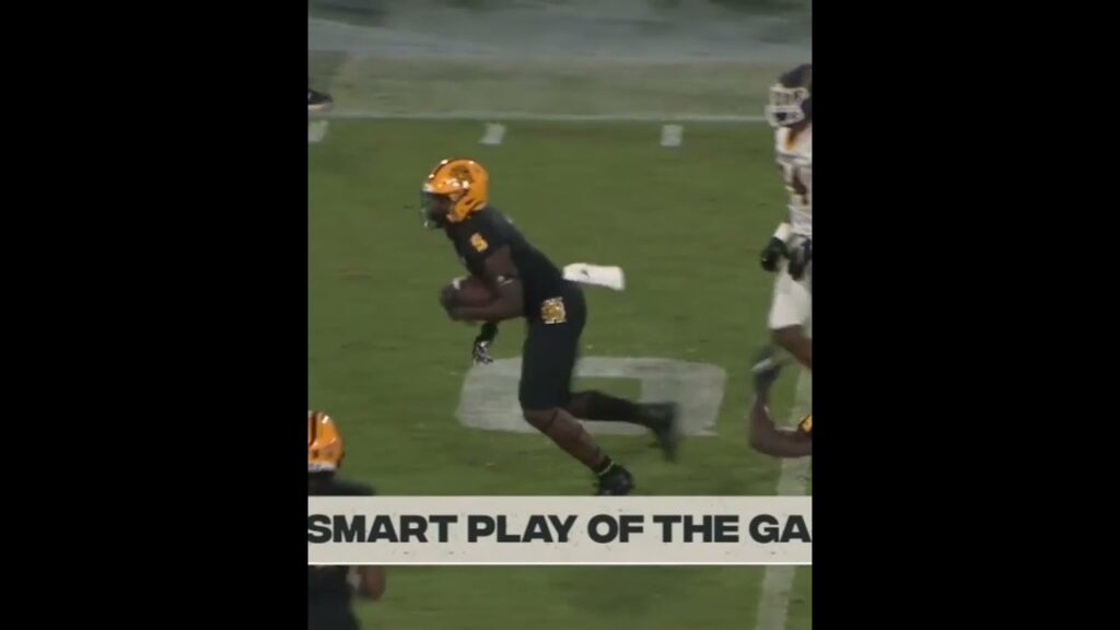 incredible diving interception by kennesaw state he layed out for this pick