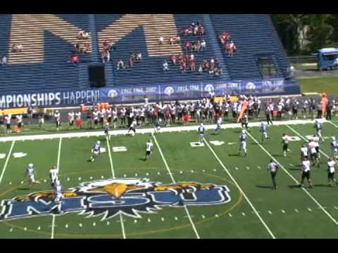 john kelly qb 10 saint francis university pa highlights