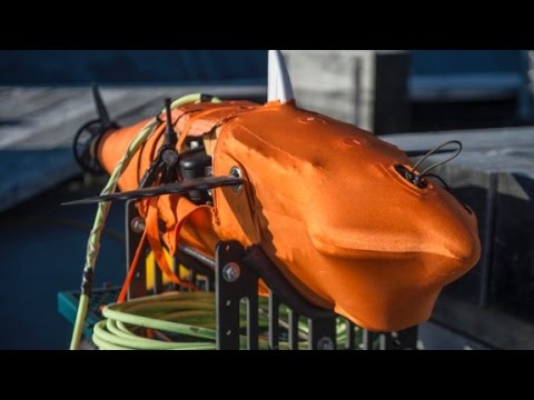 meet the u s navys spy fish